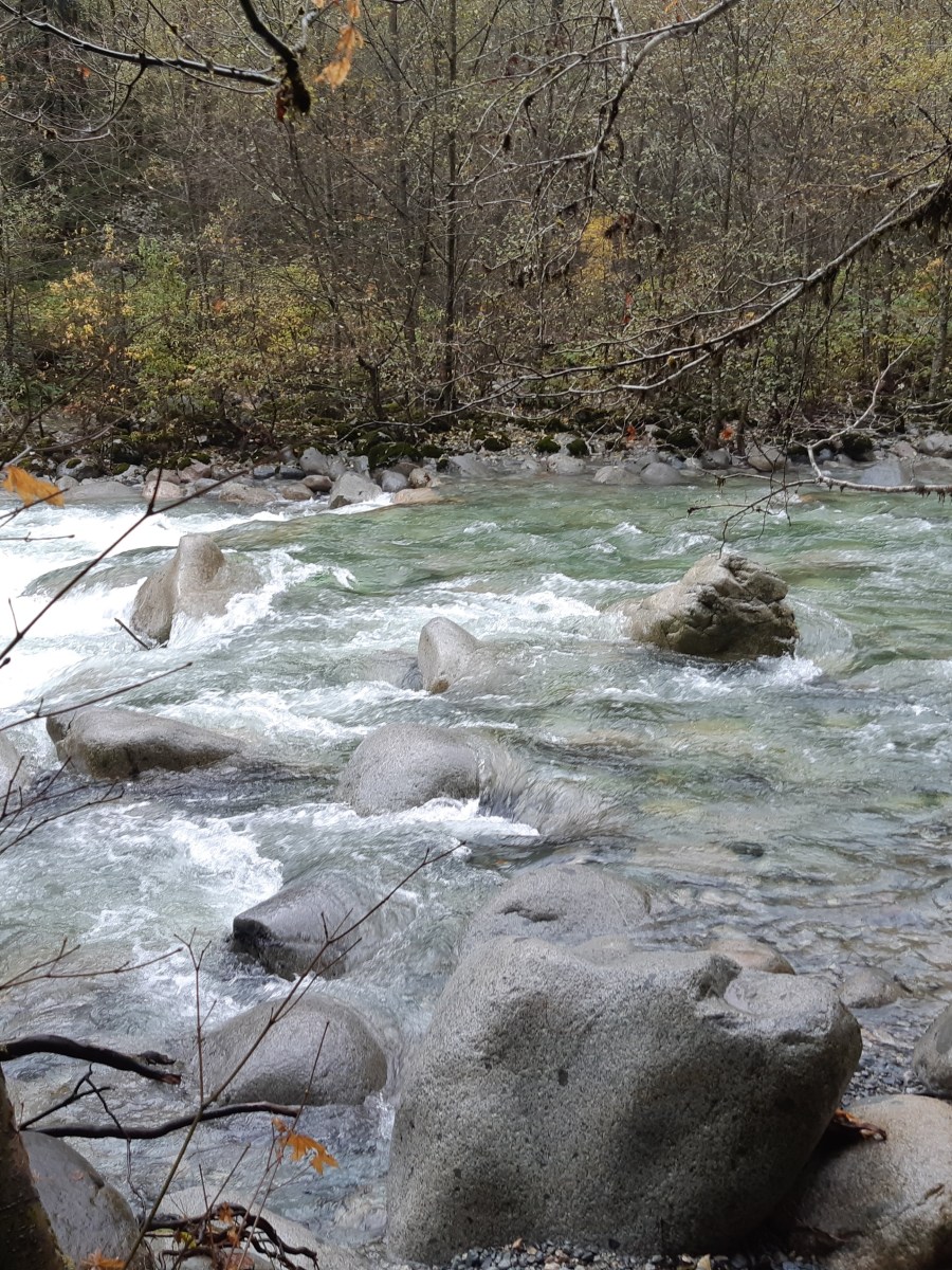 Lynn Valley and Rice Lake Hike&nbsp;(BC)